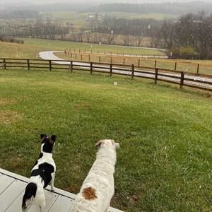 Meet your Posher, Marcy